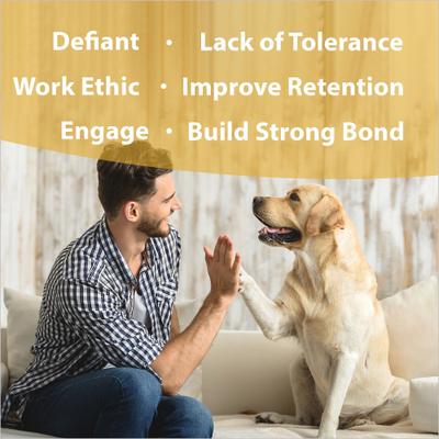 In Training Calming Pet Supplement, 1-fl oz bottle