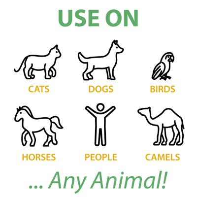 In Training Calming Pet Supplement, 1-fl oz bottle