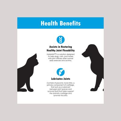 Liquid Joint Supplement for Dogs, Cats & Horses, 32-fl oz bottle