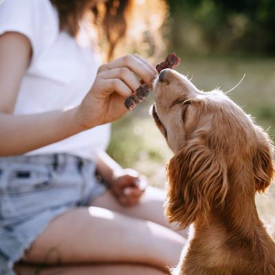 Triple Flavor Dual Wraps Real Chicken, Beef & Pork Dog Treats, 8 count