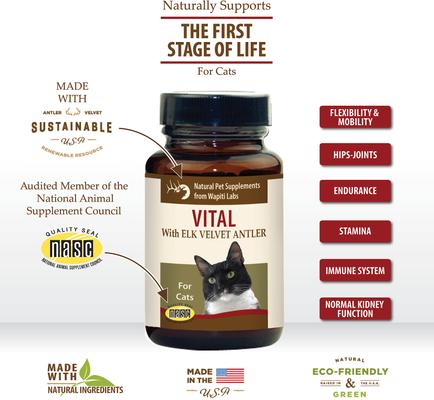 Vital Formula Cat Supplement, 0.53-oz bottle