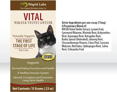 Vital Formula Cat Supplement, 0.53-oz bottle