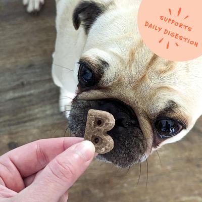 Dailies Bye Bye Stinkies Pumpkin + Ginger Recipe Dog Treats, 6-oz pouch