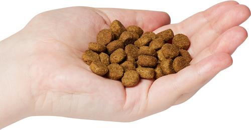 Free-Range Grain-Free Chicken Recipe with Postbiotics Dry Dog Food, 4.5-lb bag