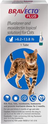 Plus Topical Solution for Cats, >6.2-13.8 lbs, (Blue Box), 1 Dose (2-mos. supply)
