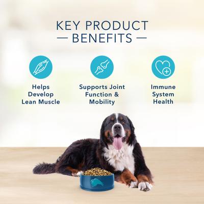 Basics Skin & Stomach Care Grain-Free Formula Lamb & Potato Recipe Large Breed Adult Dry Dog Food, 22-lb bag