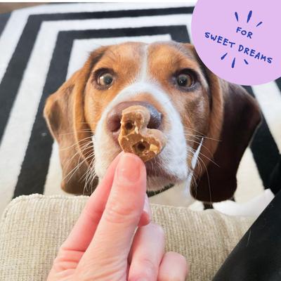 Dailies Sweet Dreams Bananas + Honey Recipe Dog Treats, 6-oz pouch