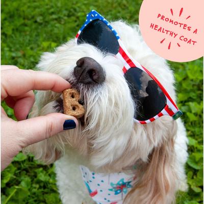 Dailies Good Hair Salmon Recipe Dog Treats, 6-oz pouch