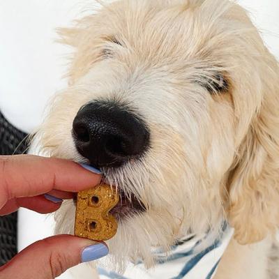 Dailies Good Hair Salmon Recipe Dog Treats, 6-oz pouch