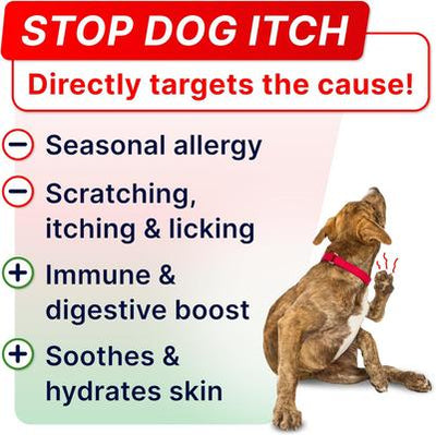 Advanced Allergy Relief & Anti Itch Relief with Omega 3 Fish Oil & Probiotics Skin & Coat Chew Supplement, 120 count