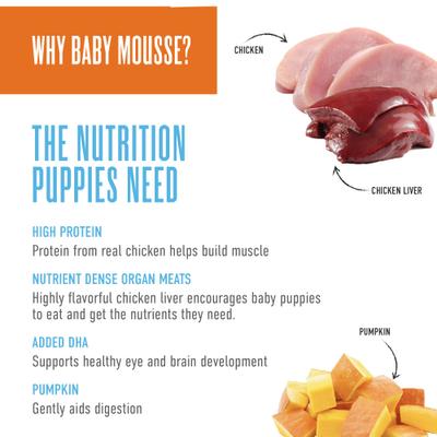 Baby Mousse for Puppies, Grain-Free Chicken, Chicken Liver & Pumpkin Recipe Wet Dog Food, 3-oz pouch, case of 12