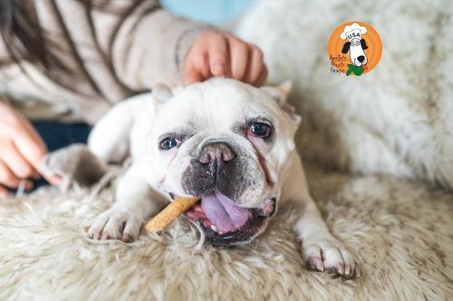 Doggie Fries Dog Treats, 4.7-oz bag