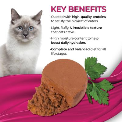 Fine Dining Mousse Sardine with Pumpkin Entree Wet Cat Food, 2.47-oz can, case of 24