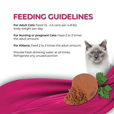 Fine Dining Mousse Sardine with Pumpkin Entree Wet Cat Food, 2.47-oz can, case of 24