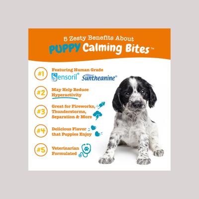 Bundle: Puppy Supplement Variety Pack - Zesty Paws Milk Replacer Supplement, 8-in-1 Supplement, Calming Supplement