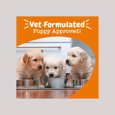 Bundle: Puppy Supplement Variety Pack - Zesty Paws Milk Replacer Supplement, 8-in-1 Supplement, Calming Supplement