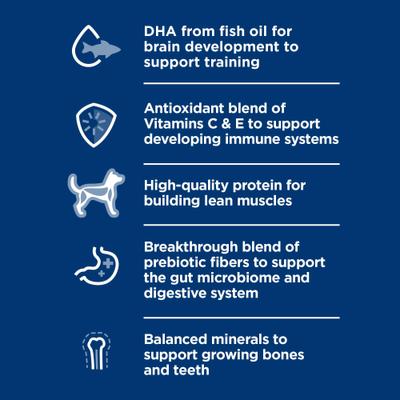 Puppy Chicken & Rice Stew Recipe Wet Dog Food, 12.5-oz can, case of 12