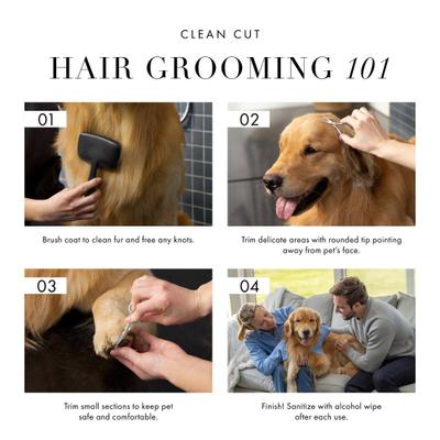 Stainless Steel Dog & Cat Safety Tip Trimming Scissors