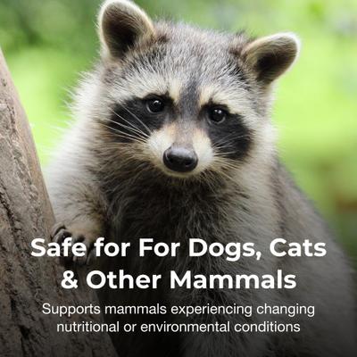 Bene-Bac Plus Pet Gel FOS & Probiotics for Dogs, Cats, Exotic & Wildlife Mammals, 15-g syringe