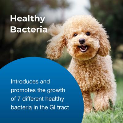 Bene-Bac Plus Pet Gel FOS & Probiotics for Dogs, Cats, Exotic & Wildlife Mammals, 15-g syringe