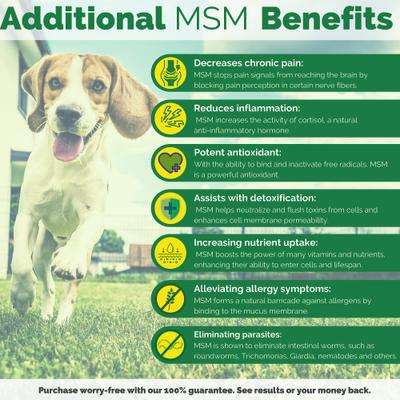 MSM Joint Boost Natural Chicken Flavor Powder Dog Supplement, 1-lb jar