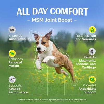 MSM Joint Boost Natural Chicken Flavor Powder Dog Supplement, 1-lb jar