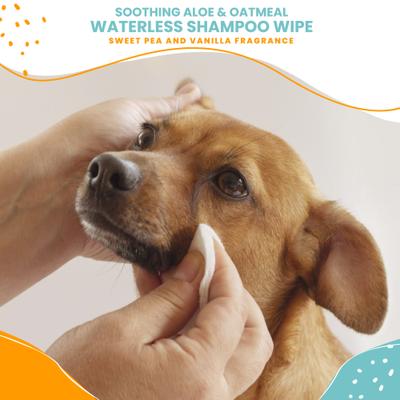 Toallitas de champú sin agua para perros y gatos con aroma a guisante de olor y vainilla, 70 unidades