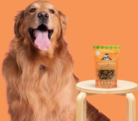 Carrot Pops Vegan Dog Treats, 6-oz bag
