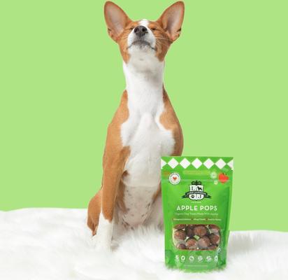 Apple Pops Vegan Dog Treats, 6-oz bag