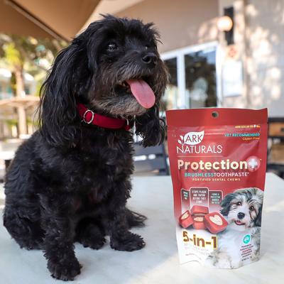 Brushless Toothpaste Protection+ Mini Dental Dog Treats, 4-oz bag, count varies