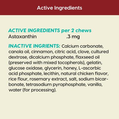 Brushless Toothpaste Protection+ Mini Dental Dog Treats, 4-oz bag, count varies