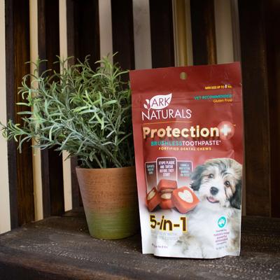 Brushless Toothpaste Protection+ Mini Dental Dog Treats, 4-oz bag, count varies