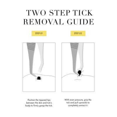 Stainless Steel Portable Tick Removal Tweezer for Pets