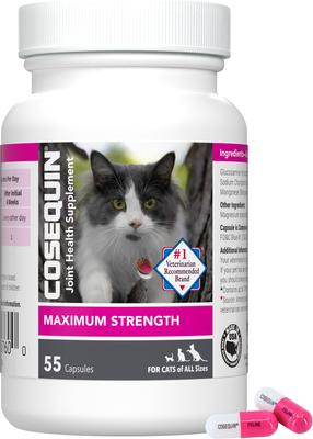 Cosequin Hip & Joint con glucosamina y condroitina, suplemento para articulaciones de gatos (55 cápsulas)