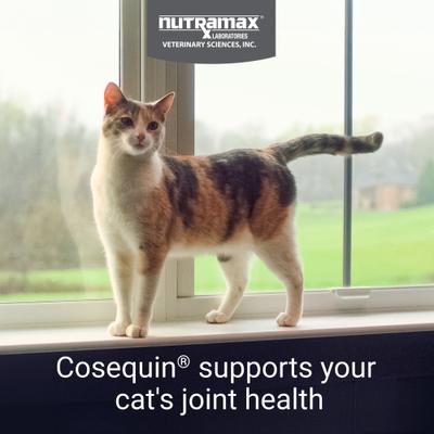 Cosequin Hip & Joint with Glucosamine & Chondroitin Capsules Joint Supplement for Cats, 55 count