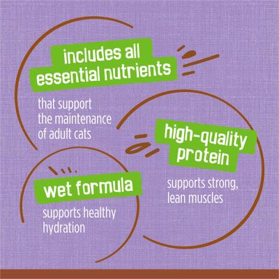 Extra Gravy Pate with Turkey in Savory Gravy Canned Cat Food, 5.5-oz, case of 24