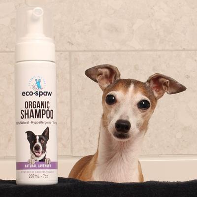 Organic Lavender Scent Dog Shampoo, 7-oz bottle