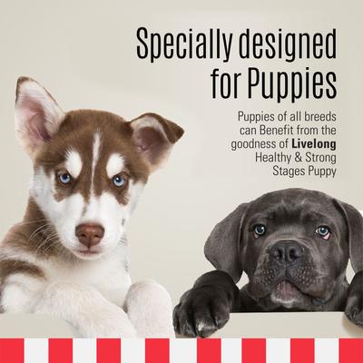 Stages Puppy Wet Dog Food, 12.5-oz can