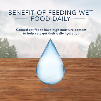 Wilderness Pate Kitten Variety Pack with Chicken & Salmon Grain-Free Cat Food, 3-oz can, case of 6