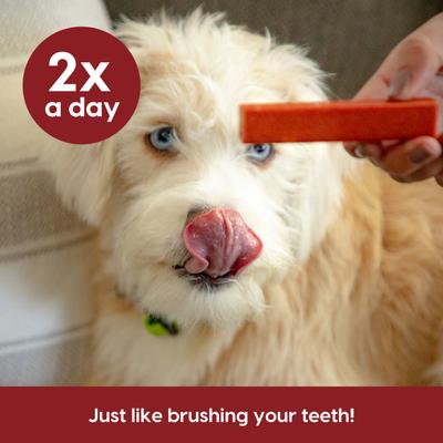 Brushless Toothpaste Protection+ Medium Dental Dog Treats, 18-oz bag, count varies