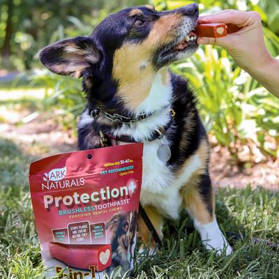 Brushless Toothpaste Protection+ Medium Dental Dog Treats, 18-oz bag, count varies