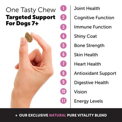 Bundle: PetHonesty Duck Flavored Soft Chews Multivitamin for Senior Dogs + Blue Buffalo Life Protection Formula Senior Chicken & Brown Rice Recipe Dry Food