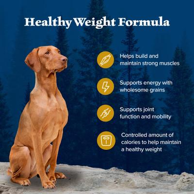 Bundle: Blue Buffalo Wilderness Healthy Weight Chicken Dry Food + Trail Treats Duck Biscuits Dog Treats
