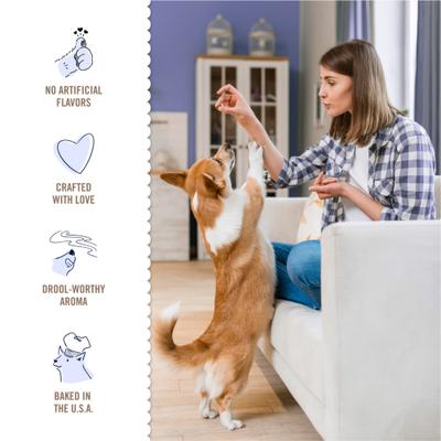 Itty Bitty Bones with Peanut Butter Crunchy Dog Treats, 13-oz box