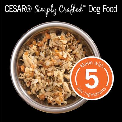 Bundle: Cesar Simply Crafted Chicken, Sweet Potato, Apple, Barley & Spinach Limited-Ingredient + Chicken Limited-Ingredient Wet Dog Food Topper
