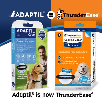 Powered by ADAPTIL Calming Pheromone Collar for Dogs, Large, up to 24-in neck