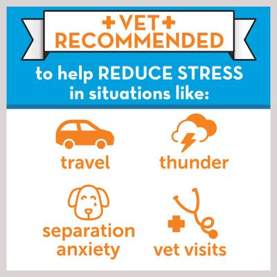 Powered by ADAPTIL Calming Pheromone Collar for Dogs, Large, up to 24-in neck