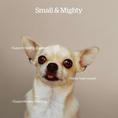 Grain-Free Small Breed Adult Recipe Dry Dog Food, 3.5-lb bag