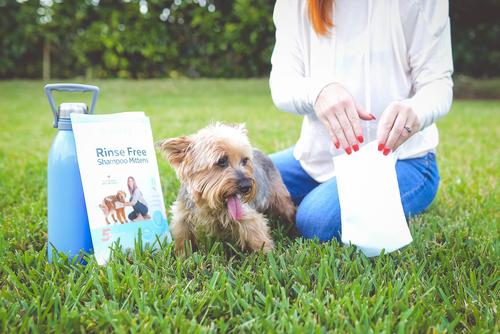 Manoplas de champú para perros sin enjuague instantáneo, 5 unidades