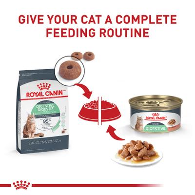 Alimento húmedo para gatos Feline Care Nutrition Digestive Care Adult Gravy, lata de 3 oz, 12 unidades